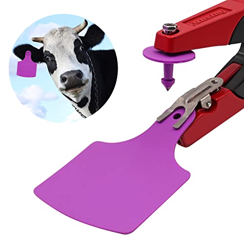 LIUCOGXI 100 conjuntos de etiquetas de orelha de gado em branco grandes etiquetas de orelha de vaca