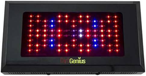 Lighthouse Hydro 240W Blackstar UV Led Grow Light 3w