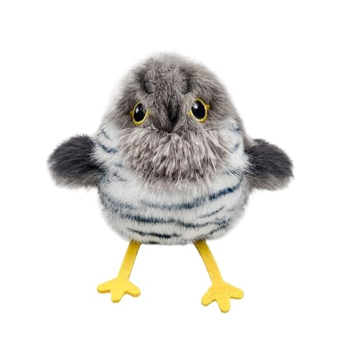 C^NeBu 钹 LbggC - vVI  C^NeBu  o[h Lbg gC | ԓ ybgp O a NX}X v[g Vѓ