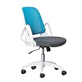 Disfrute de una silla ergonómica adaptada a sus necesidades. Nos hemos centrado en lo esencial: cojines de alta calidad, respaldo adaptable y altura del asiento ajustable, además de un cómodo reposacabezas.