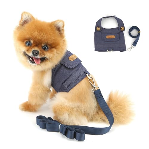 PAIDEFUL ^ ^ fj n[lX L Lp [hZbg p  [h y EȒP \ q P s⏕p lC  Lʗp hbOEFA ybgpi DO U?,_[Nu[,XXL