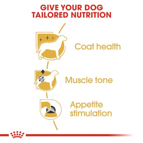 Image of Royal Canin Poodle Adult Dog Food, 1.5 Kg, Dry Food, Supports Beautiful Fur & Dental Health, Helps to Tone Muscles