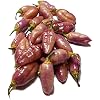 Peach Gum Tiger 5 Chilli Seeds