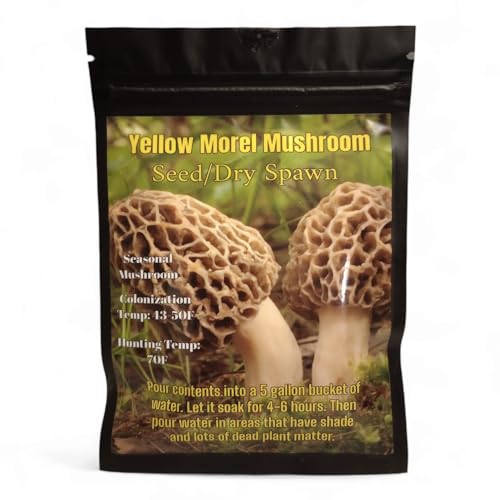 Yellow Morel Mushroom Seed/Dry Spawn