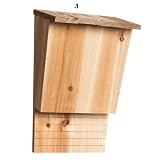 Fledermauskasten Wetterfeste Fliegenkontrolle