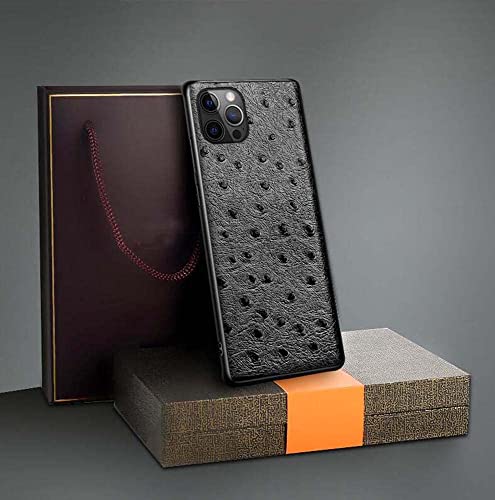 Housse iPhone 13 Pro protection écran objectif étui cuir antichoc autruche