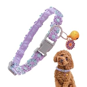 Gkumgwo Sicherheits-Katzenhalsband mit Glocke