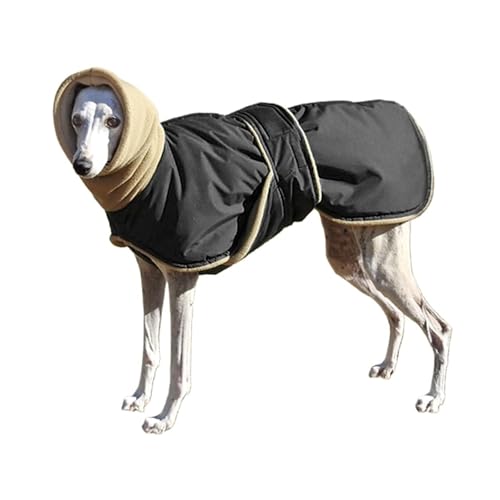 g茢 hpR[gWPbg ^ ^ OCnEh EtnEh VFp[h (Negro,5XL)