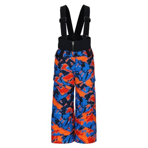 Obermeyer Kids Boys Warp Pants (Toddler/Little Kid/Big Kid) Thermal Slopes 5