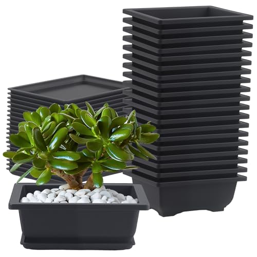 CHUENHEI 20 Stück Bonsai Topf Plastik...