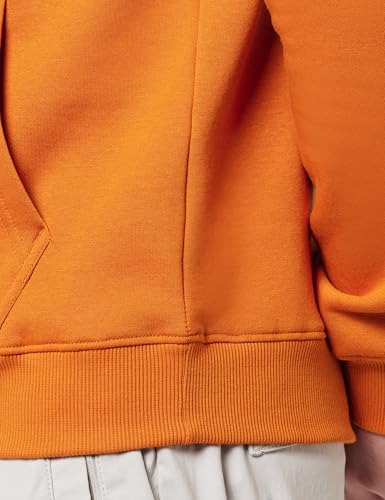 Image of Wildcraft Sierra Men Sweat Shirt Basic2 Hooded