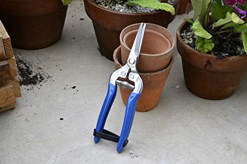 Burgon & Ball British Meadow Snip and Holster Set