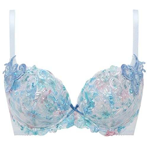 プレミアム レッドレーベル0087 ブラジャー レディース M007 D70