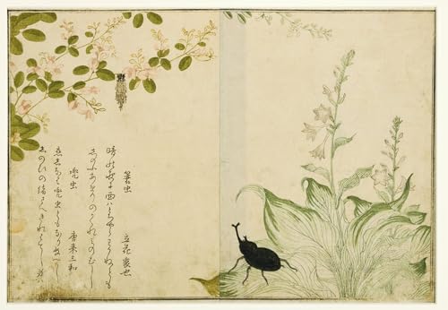 Tableau Ver de panier et scarabée Utamaro art mural pour chambre 60x90cm