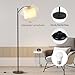 SUNMORY Arc Floor Lamp,Modern Floor Lamp with 9W 3 Color Temperatures Bulb,Metal Standing Lamps with Adjustable Hanging Lampshade,Tall Floor Lamps for Living Room,Bedroom,Office (Black)