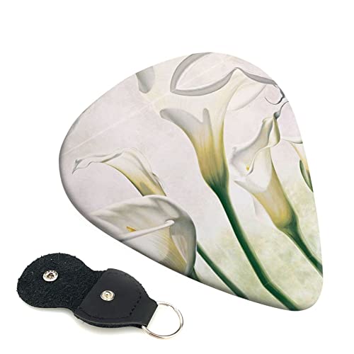 Beauty Flowers Lot de 6 médiators pour guitare acoustique, guitare électrique, basse, ukulélé – fins, moyens et épais - Les Beatles, Paul McCartney, John Lennon, RIngo Starr, George Harrison Beauty Flowers Lot de 6 médiators pour guitare acoustique, guitare électrique, basse, ukulélé – fins, moyens et épais
