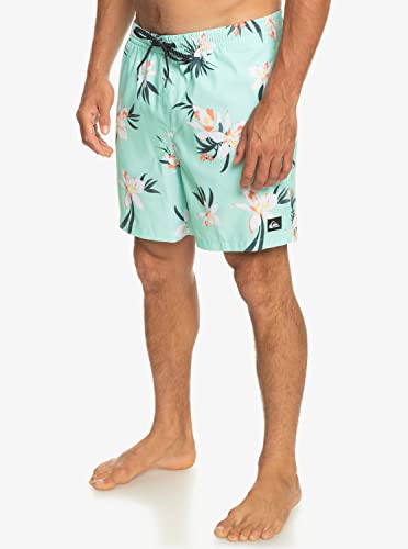 Quiksilver Men's Standard Everyday Mix 17 Volley Swim Trunk Boardshort4