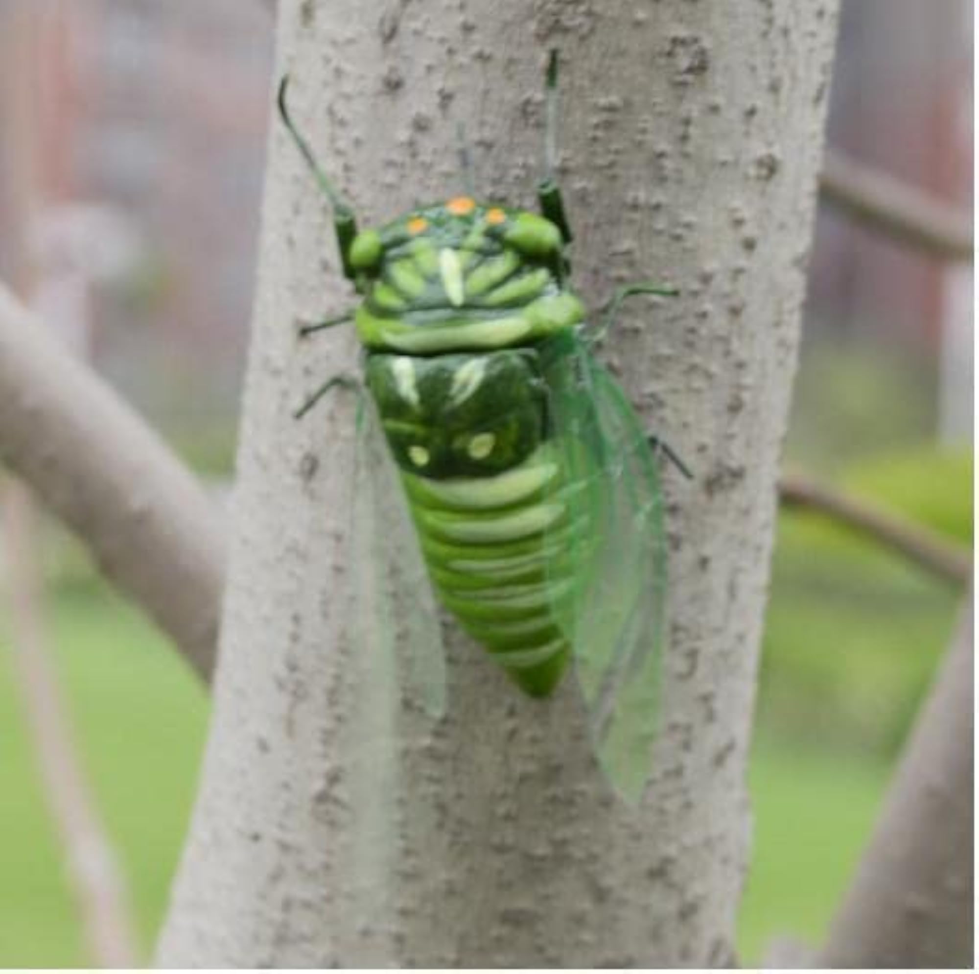 Realistic Insect Animal Pot Hanger, Garden Decor