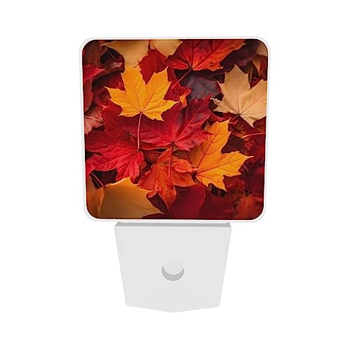 Image of Autumn Fall Leaves LED Plug-in Night Light 2-Pack, Auto Sensor Nightlights Set of 2 for Bedroom Bathroom