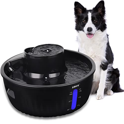 Check Out The 12 Best Large Dog Water Fountain In 2022 Buyer's Guide