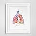 ZEARPT Watercolor Anatomy Lungs Wall Art Decor Anatomical Lungs Vintage Graphics Art Print Wall Hanging Original Design Lungs Printed Artwork 8x10 inch No Frame