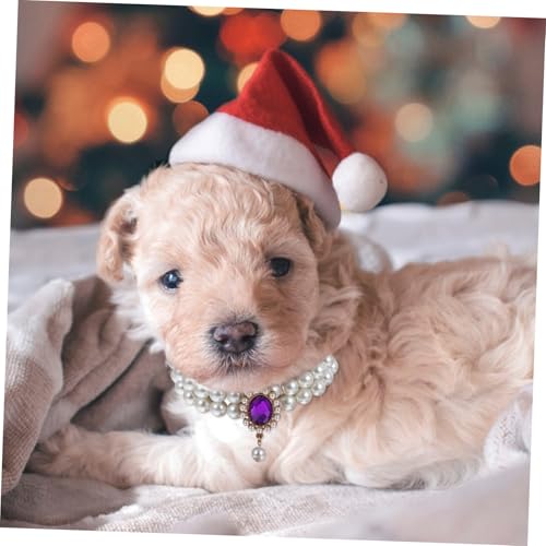 Collier perles chat et chien réglable double couche pour chiot - 5