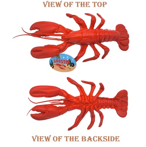 Image of Realistic Red Lobster (12 inch) Plastic Prop Toy Party Decoration Fish Net Sea Ocean (6)