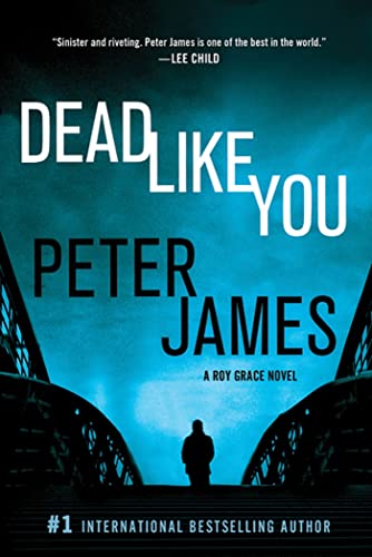 Dead Like You (Detective Superintendent Roy Grace)