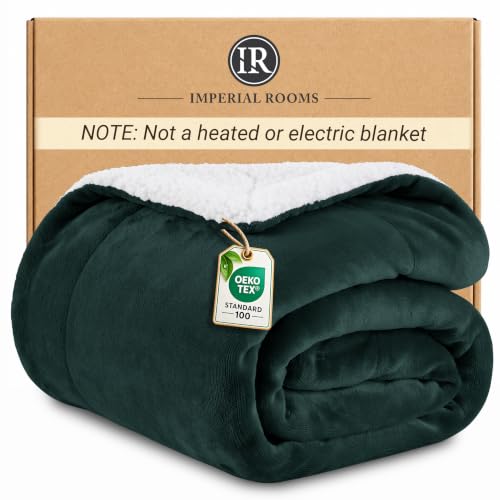 IR Imperial Rooms Fluffy Sherpa Throw Blanket Couch 50x60 Emerald Green