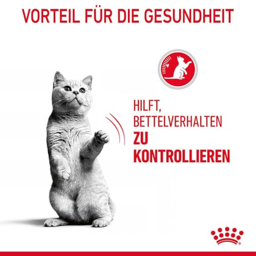 Royal Canin Appetite Control Care | 2 kg | Trockenfutter für ausgewachsene Katzen bis zum 7. Lebensjahr | Zur Kontrolle des Bettelverhaltens | Auch für kastrierte Katzen