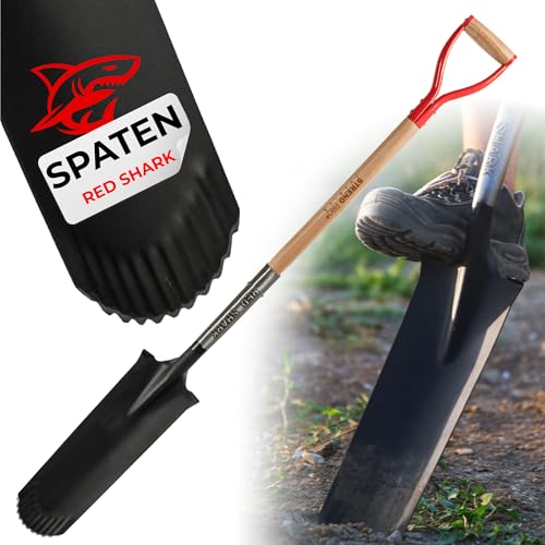 STREND PRO Spaten | Premium RedShark Gärtnerspaten | Drainagespaten mit Holzstiel | D Spatenstiel | Schmal Spaten für Garten mit stabiler Stahlkopf |für Harte, steinige Böden|Wurzelspaten Gartengeräte