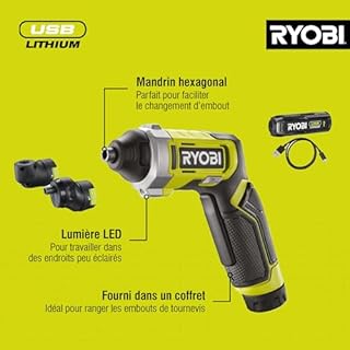 RYOBI - Tournevis 4V USB Lithium Kit Complet RSD4-120TA2 - Têtes Interchangeables - Pour Vissage Angles, Ras de Paroi & Tiroirs - Inclus Batterie 2,0Ah & Câble