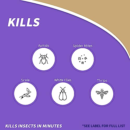 Bonide 652 Ready-to-Use Insect Soap, Quart