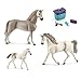 Produktbild Schleich Holsteiner Familie (13858 + 13859 + 13860) + 42366 Pferdepflege
