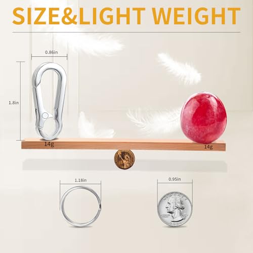 4 Pack Keychain, Metal Key Chain, Sturdy Key Ring, Key Rings Key Organizer Keychain Clip Key Chains for Men Women4