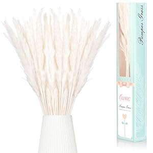 Pampasgras,Natürliche Getrocknetes Pampas Gras Ewig Phragmites Pflanzen Trockenblumen Deko Blumen Vase für Hause Modern Wohnzimmer Inneneinrichtungen Hochzeit Fotografie,Trockenblumenstrauß(Weiß )