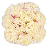 Picture of U'Artlines 20 Heads Artificial Peony Silk Flower Leaf Home Office Wedding Party Festival Bar Decor (Champagne)