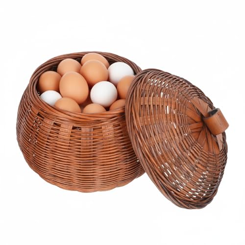 GLEAVI Cestino per uova in stile retrò con coperchio, per snack e uova, organizzazione da cucina multifunzionale, capacità e design decorativo per la casa