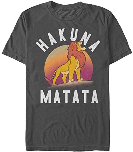 Disney Men's Lion King Simba Pride Hakuna Matata Warrior Graphic T-Shirt image 4