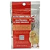 Pecking order Electrolytes Plus Vitamins &amp...