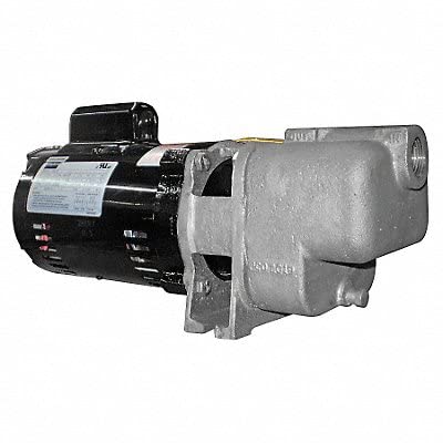 Self Priming Pump,1/3 HP,316 SS