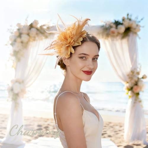 Image of DRESHOW Womens Fascinators Hats Tea Party Hats for Women Pearl Lace Feather Hat Vintage Derby Hats for Wedding Cocktail