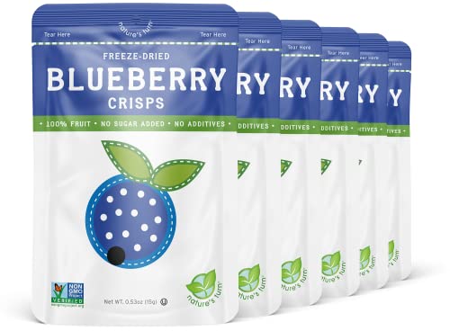 Nature's Turn Freeze-Dried Fruit Crisps; Blueberry, 6 Bags (0.53oz Each)
