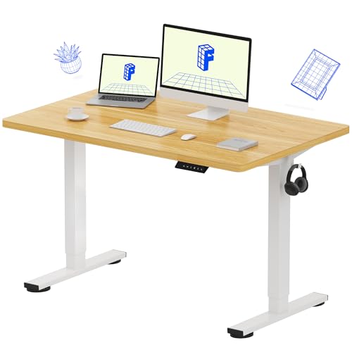 FLEXISPOT EN1 Standing Desk 48x30
