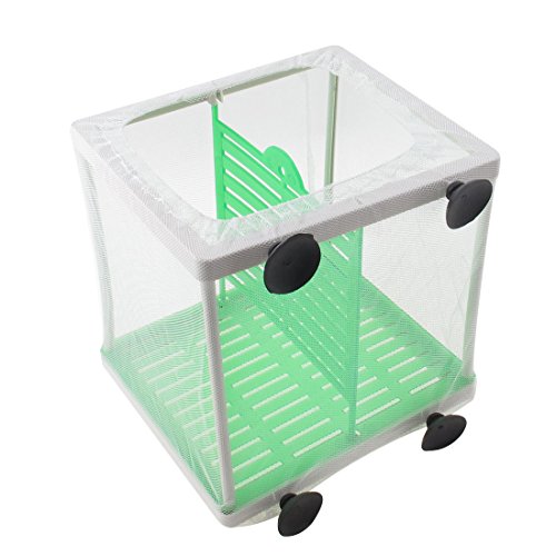 Ruilogod Aquarium Tank Poisson Poisson Spawn Hellery Box Séparation Séparation Mesh Net