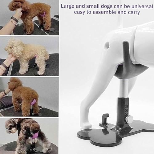 Support de toilettage en silicone et bras de table réglable pour petits chiens - 4