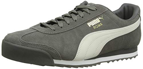 Regatta Reid Soft Shell Chaqueta, Hombre