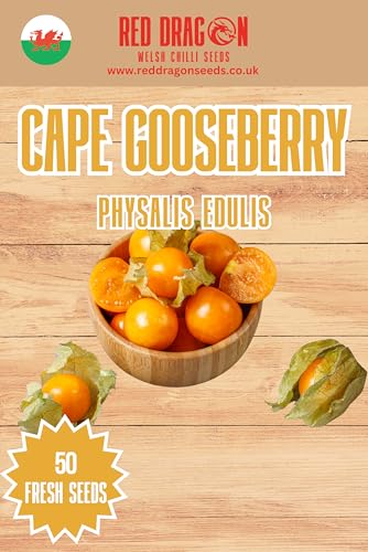 Cape Gooseberry Seeds (50)