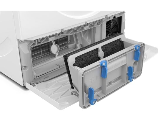BSH Electrodomésticos WQG1420DFR, Serie 6, Secadora de ropa, Bomba de calor, 9 kg, Blanco