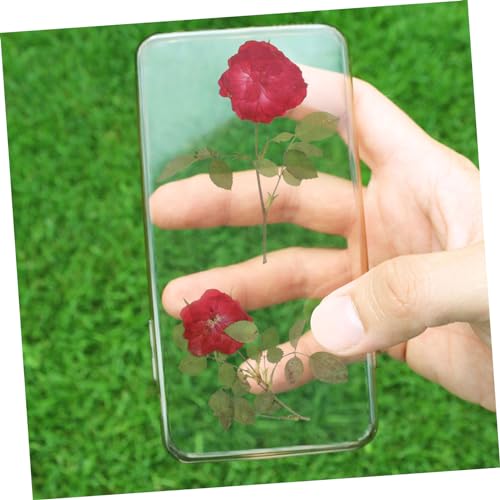 Flores secas rosas para decoración y manualidades miniatura 6